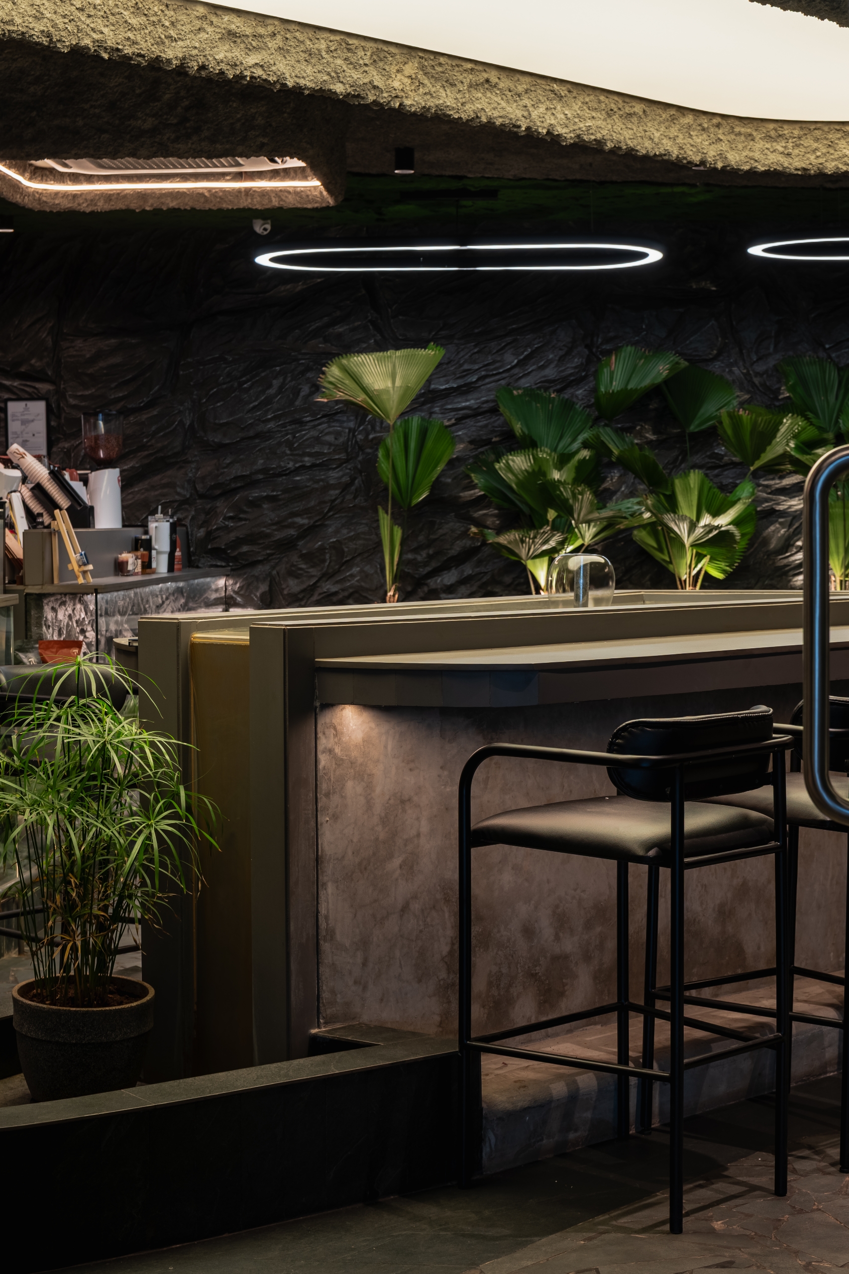 Tan Coffee – Koramangala