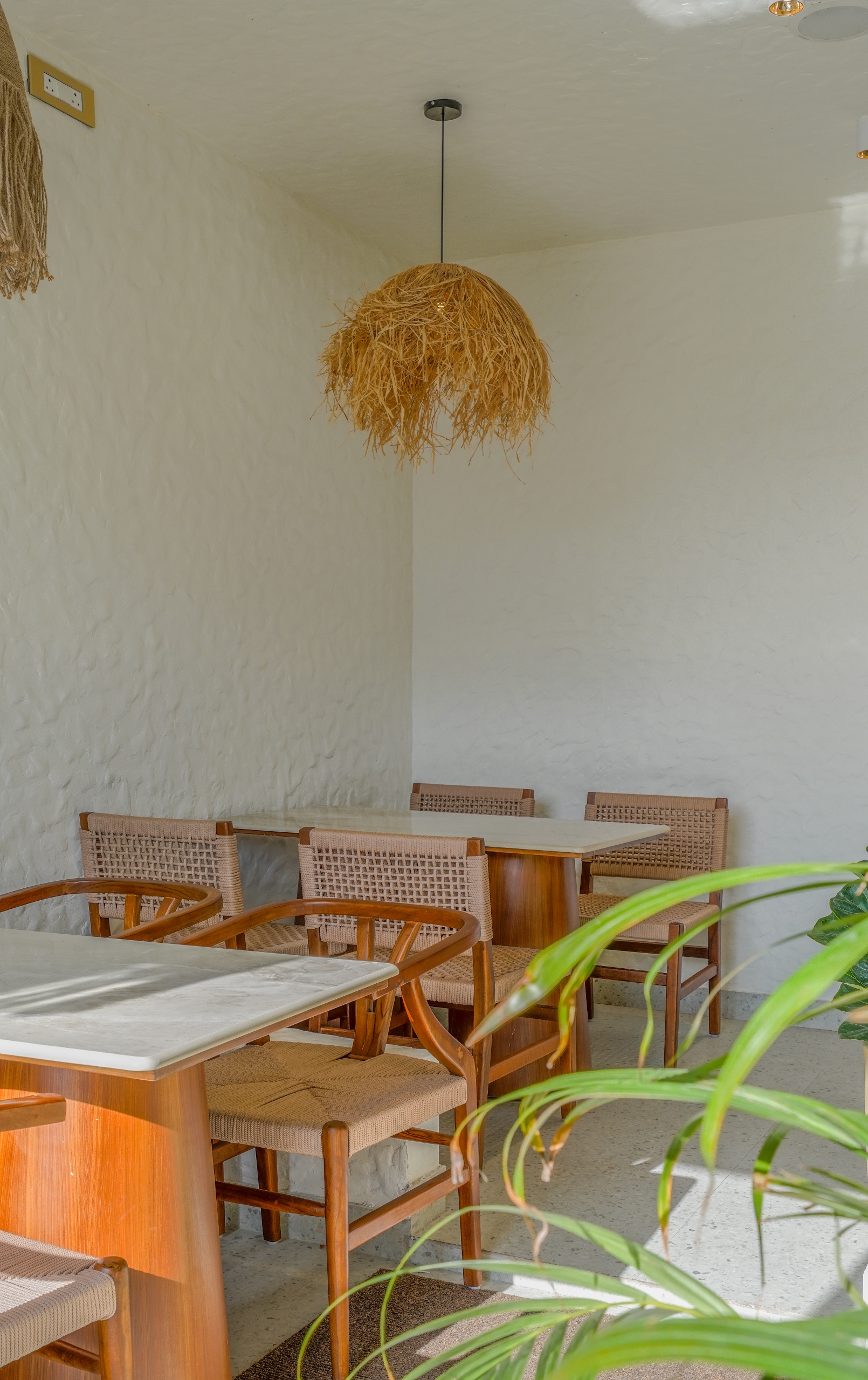 Tan Coffee – Amolik Plaza