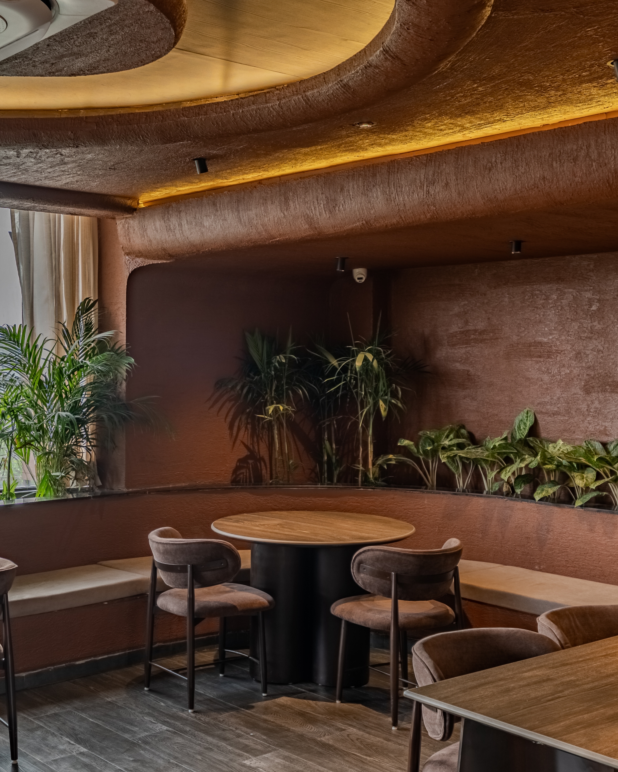 Tan Coffee – Amritsar