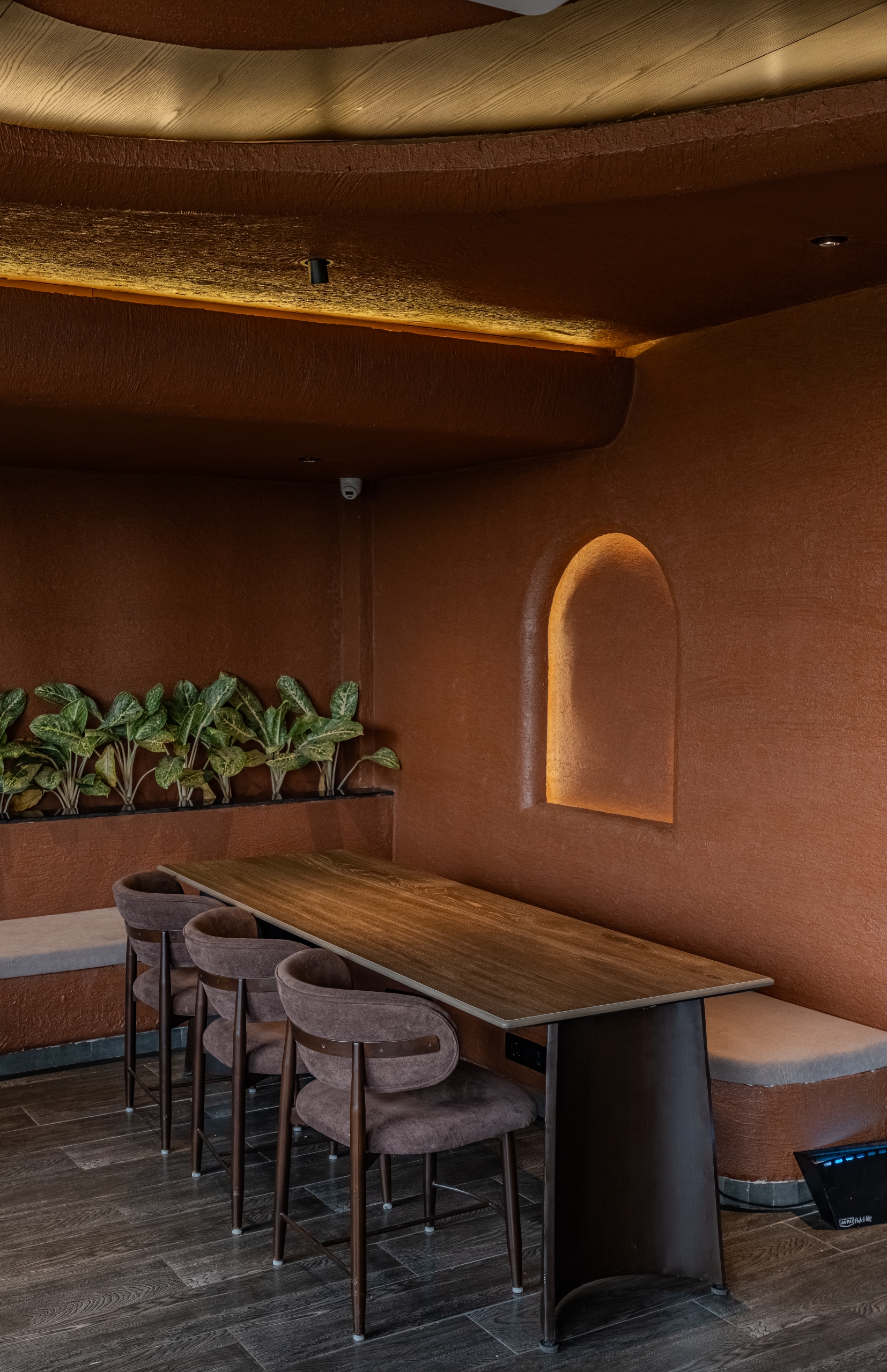 Tan Coffee – Amritsar