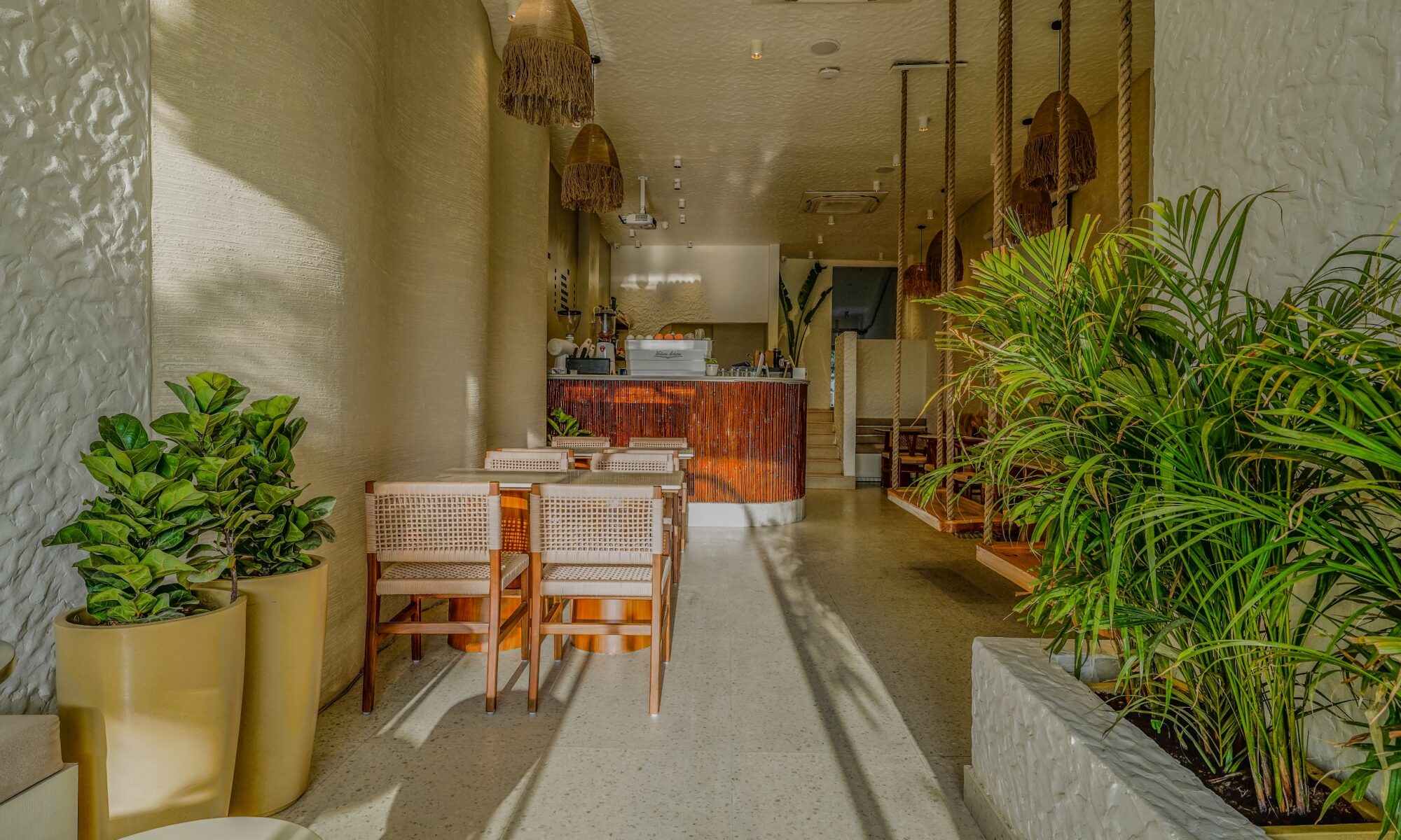 Tan Coffee – Amolik Plaza