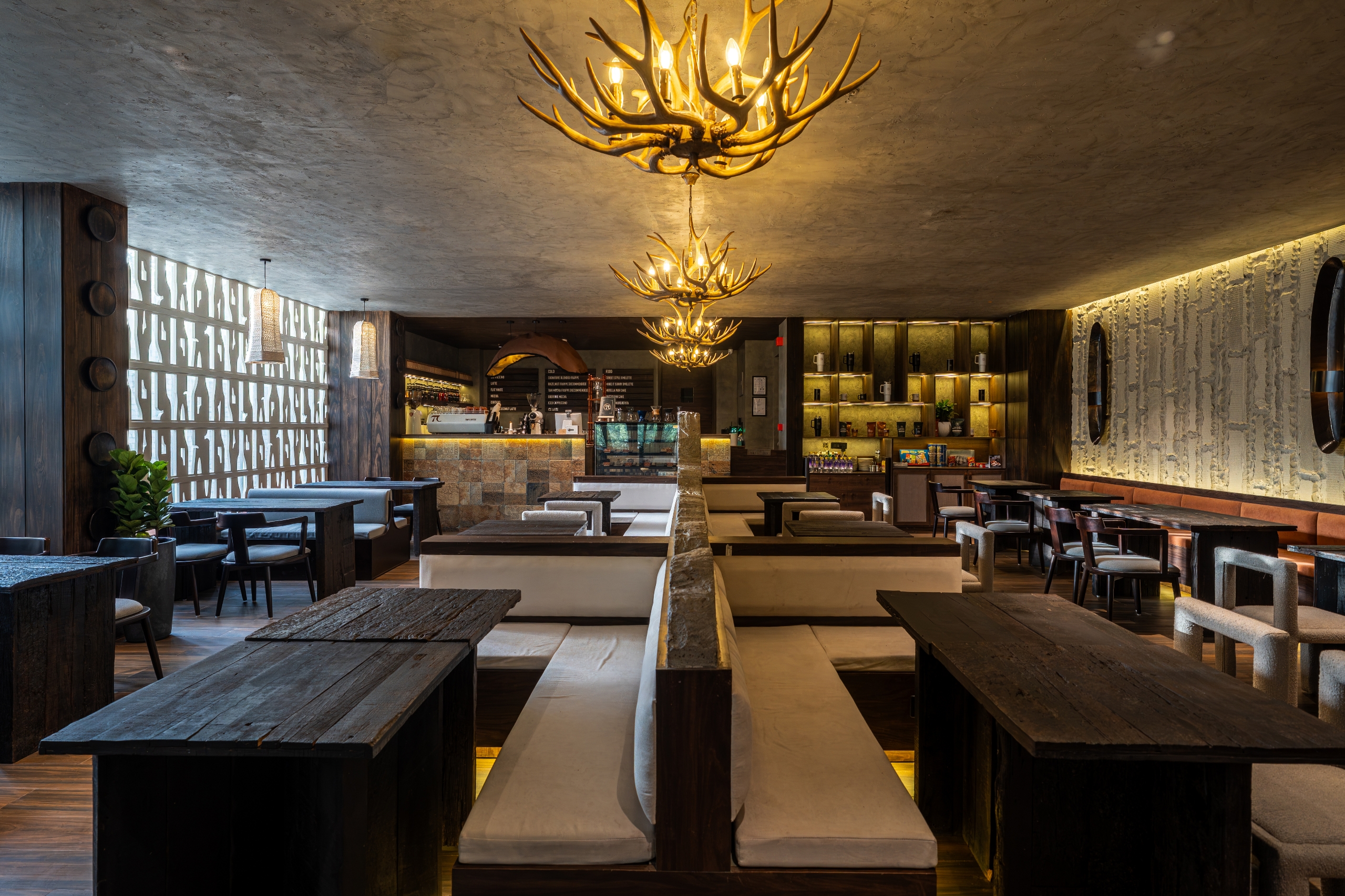 Tan Coffee – Moti Nagar