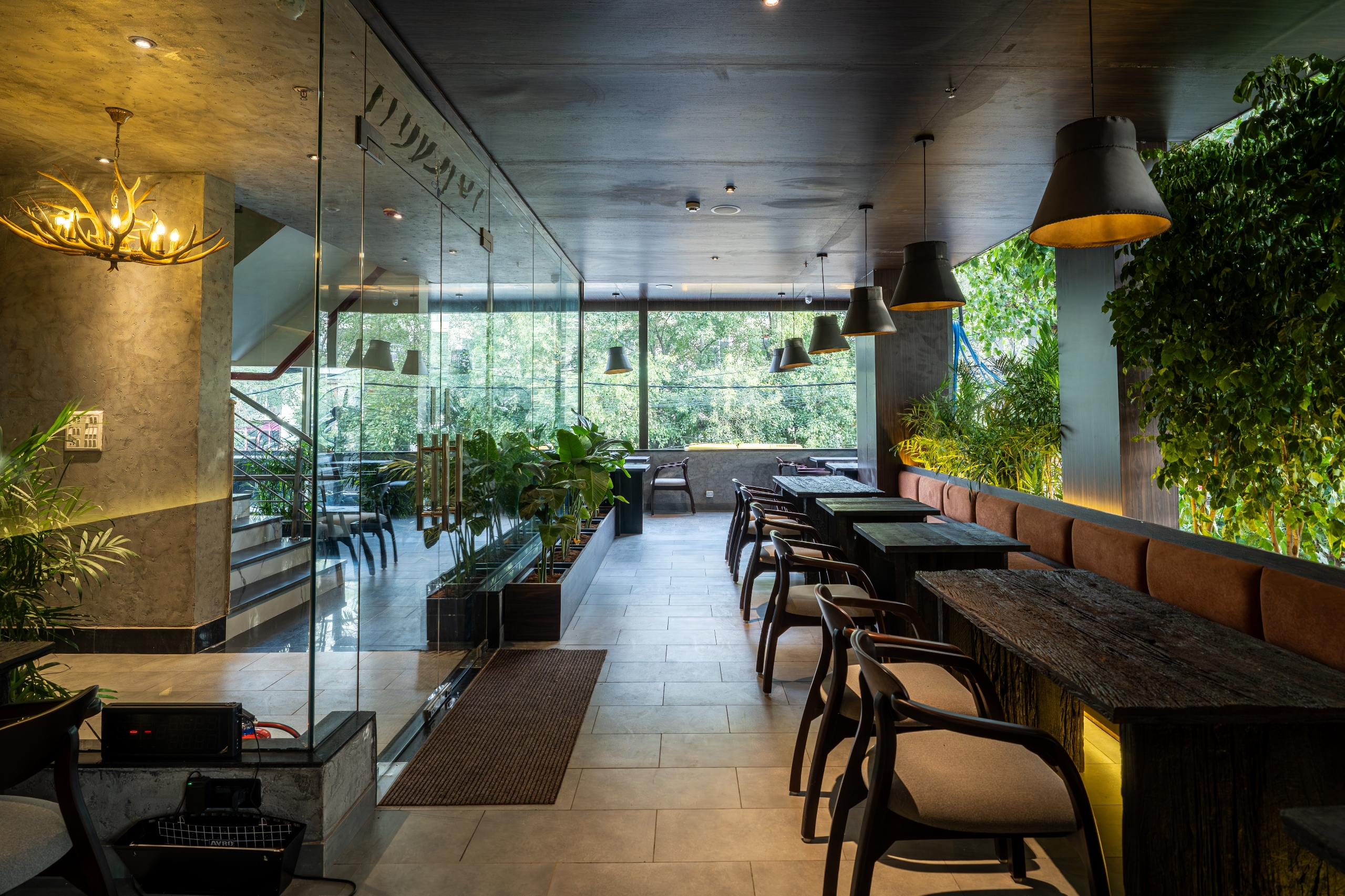 Tan Coffee – Moti Nagar