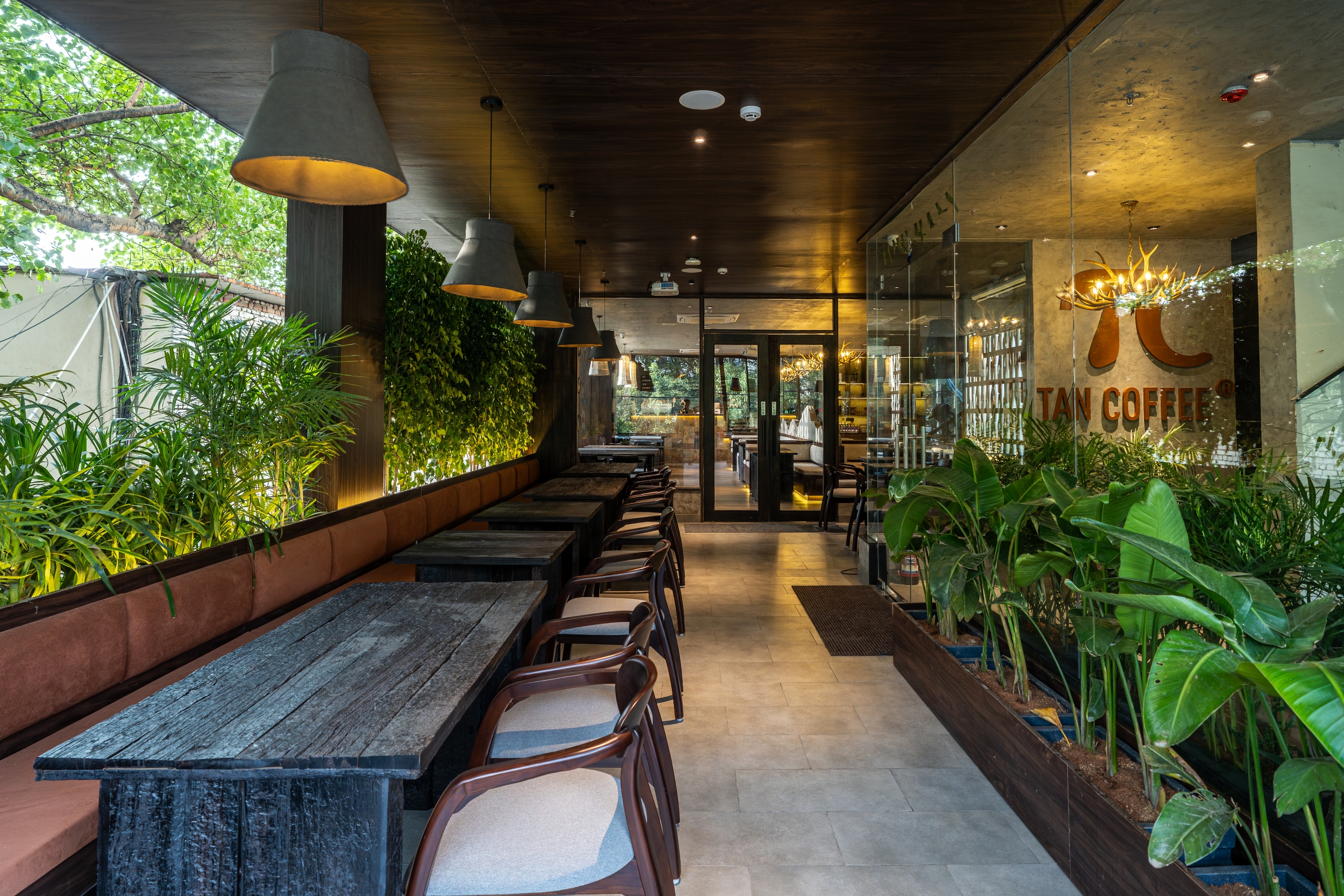 Tan Coffee – Moti Nagar
