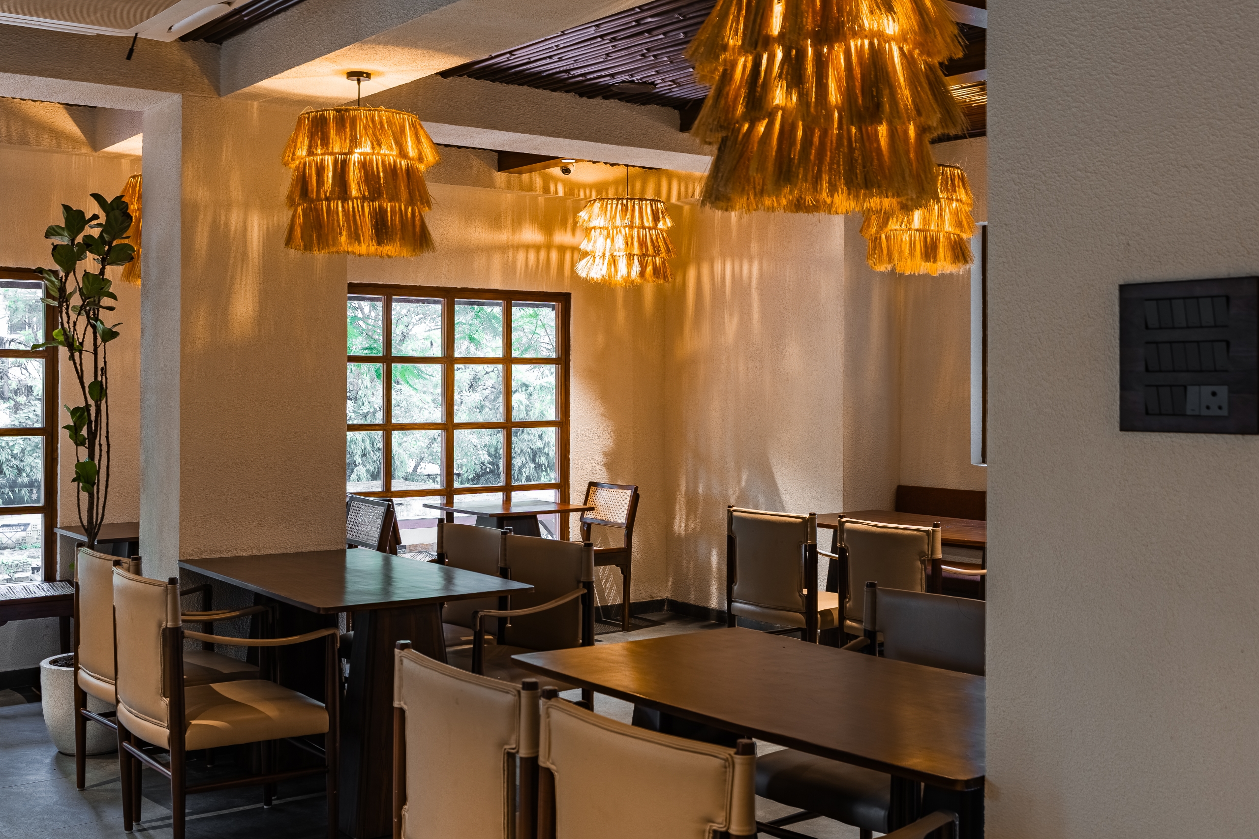 Tan Coffee – Nagpur