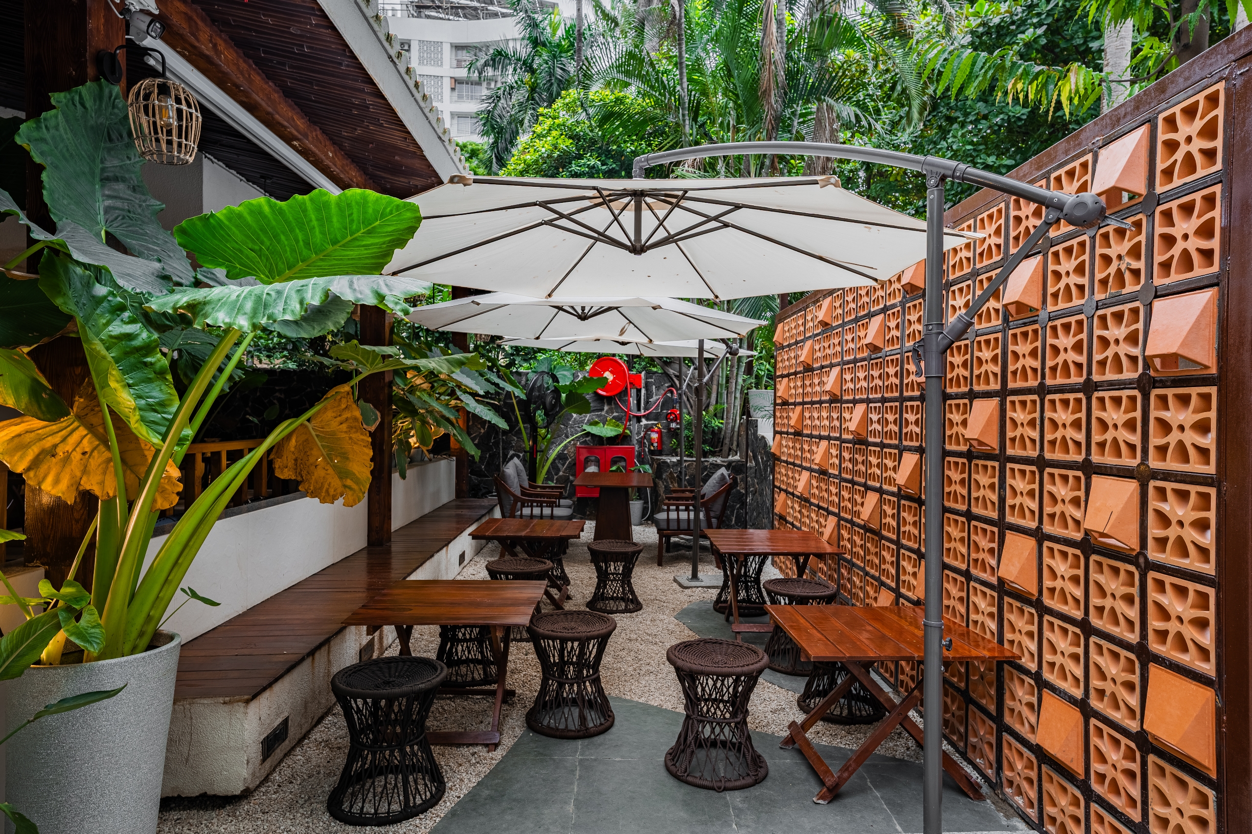 Tan Coffee – Nagpur