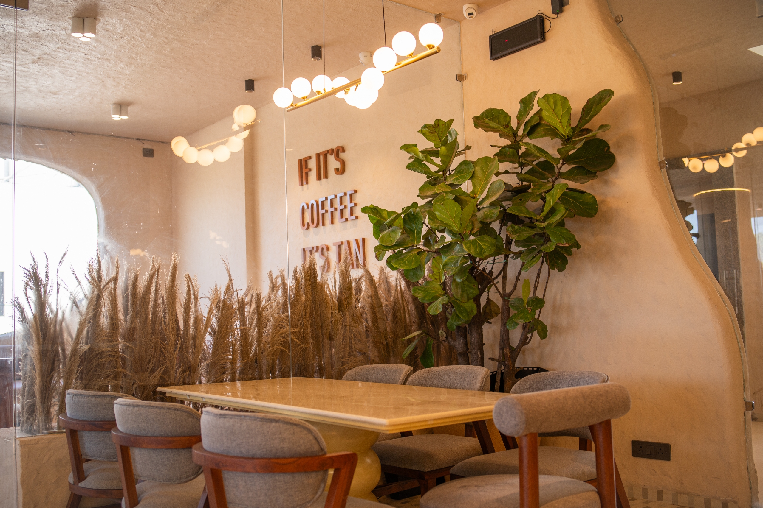 Tan Coffee – Bhopal