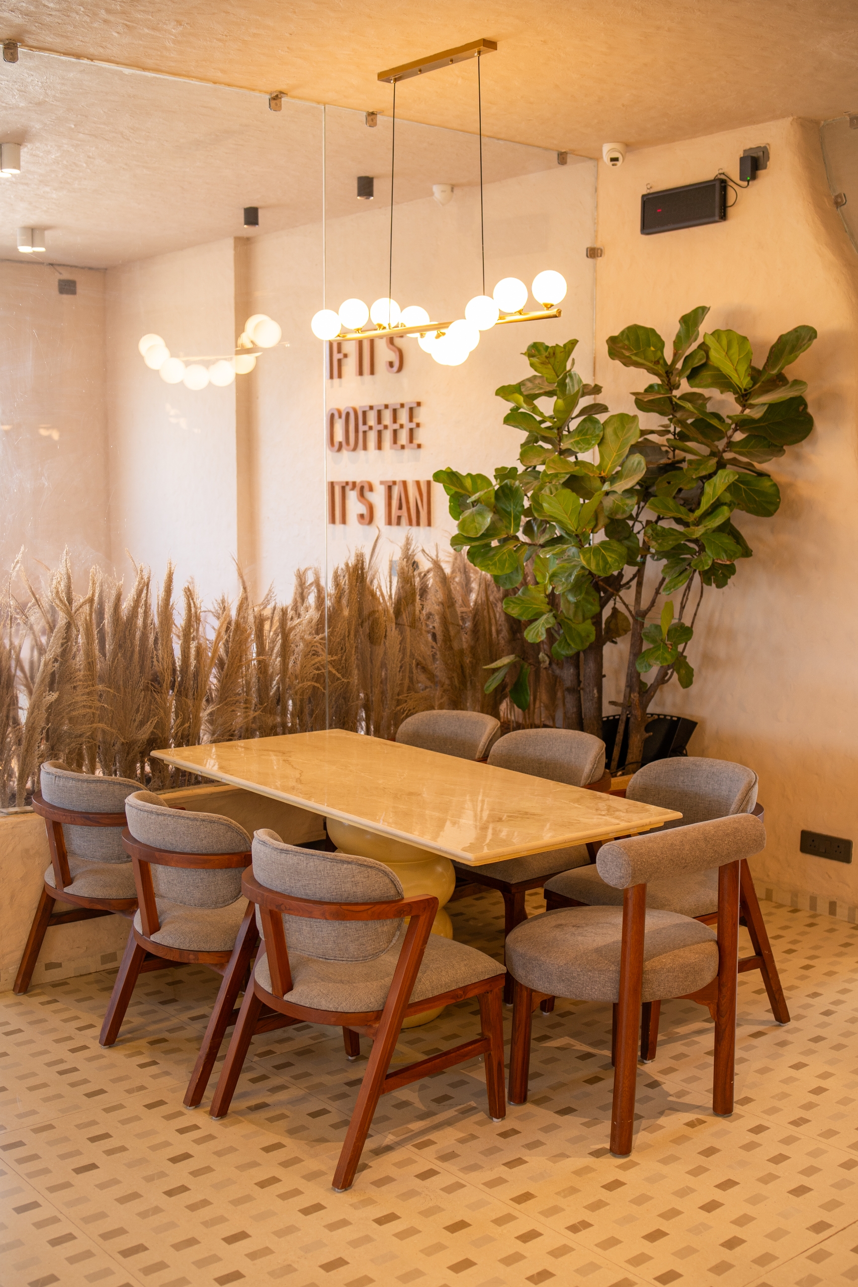 Tan Coffee – Bhopal