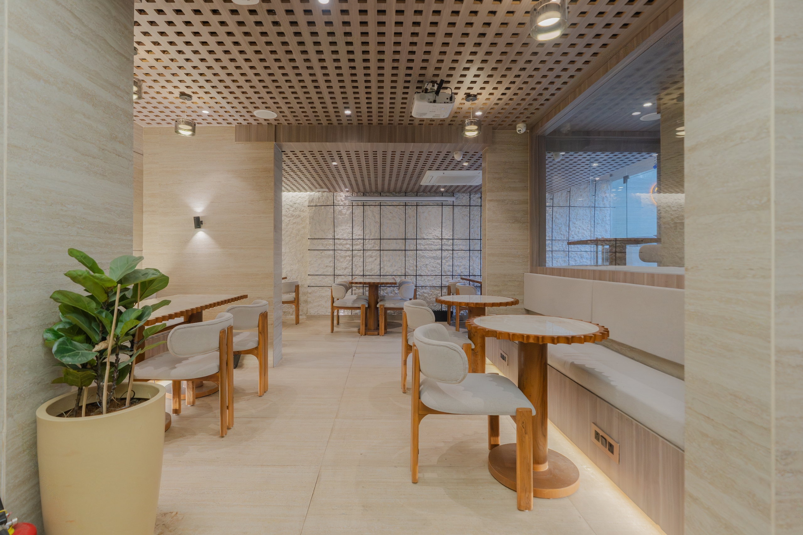 Tan Coffee – Shivalik
