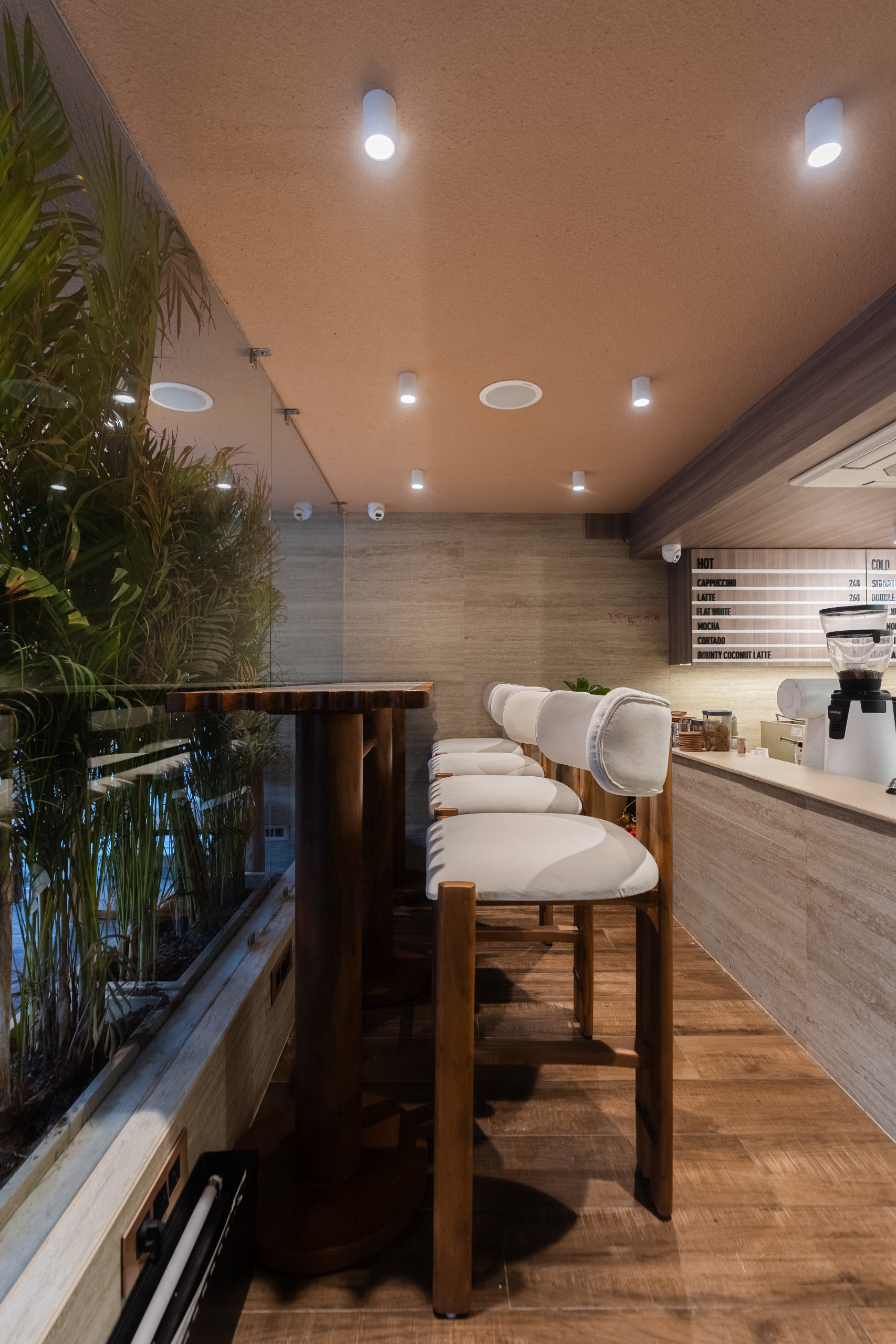 Tan Coffee – Shivalik