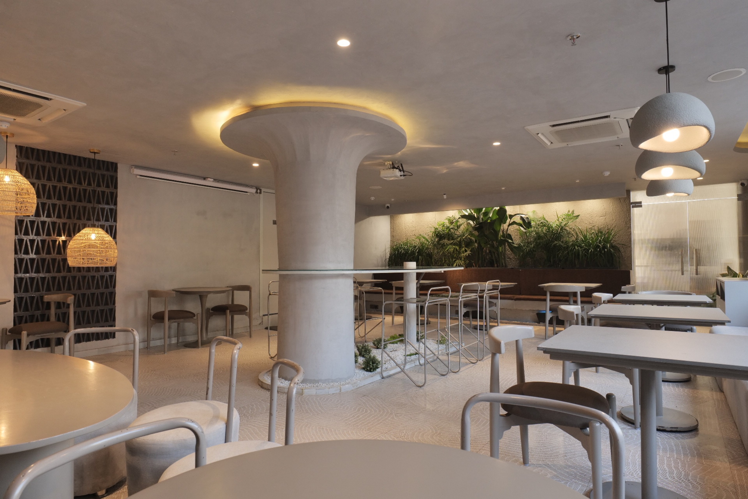 Tan Coffee – Janakpuri