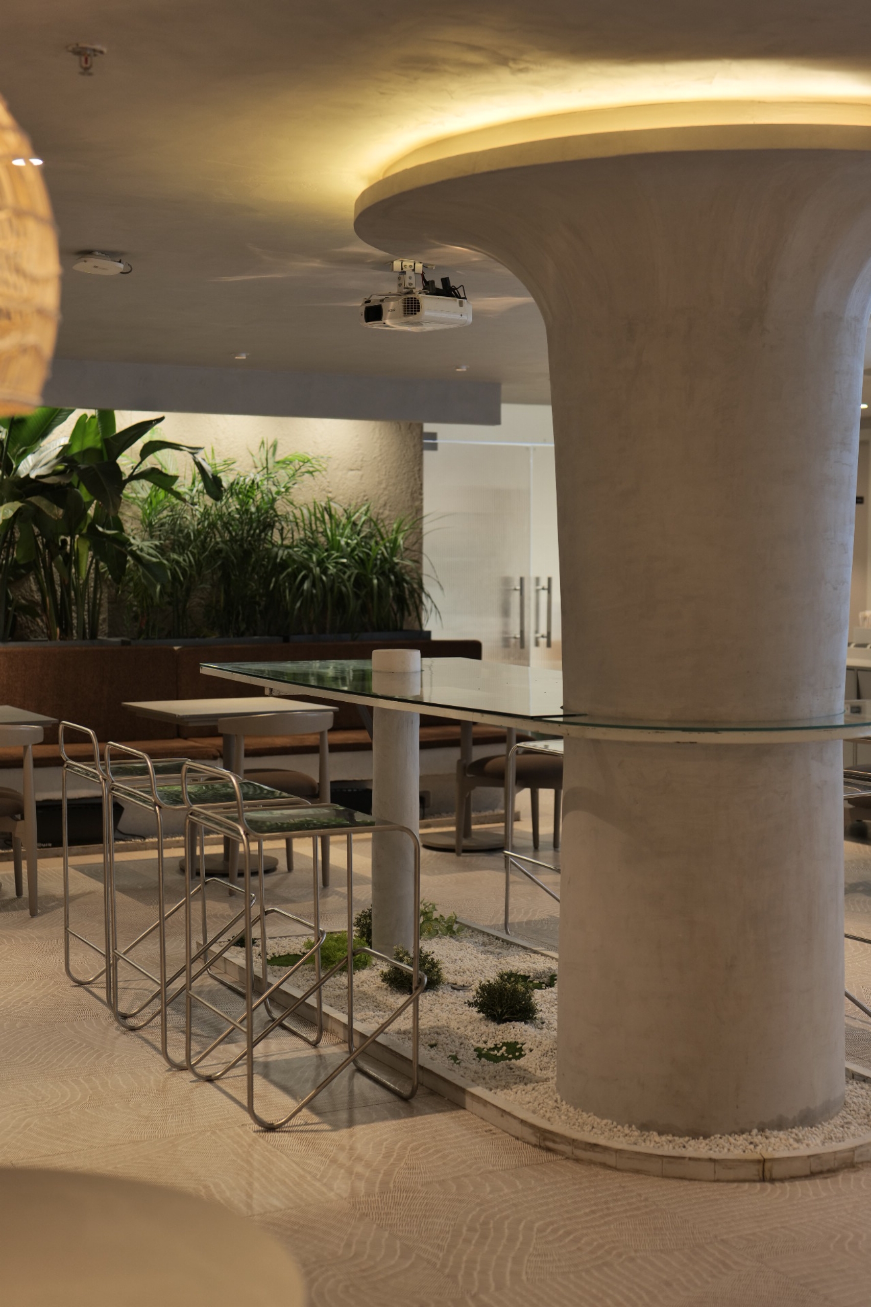 Tan Coffee – Janakpuri
