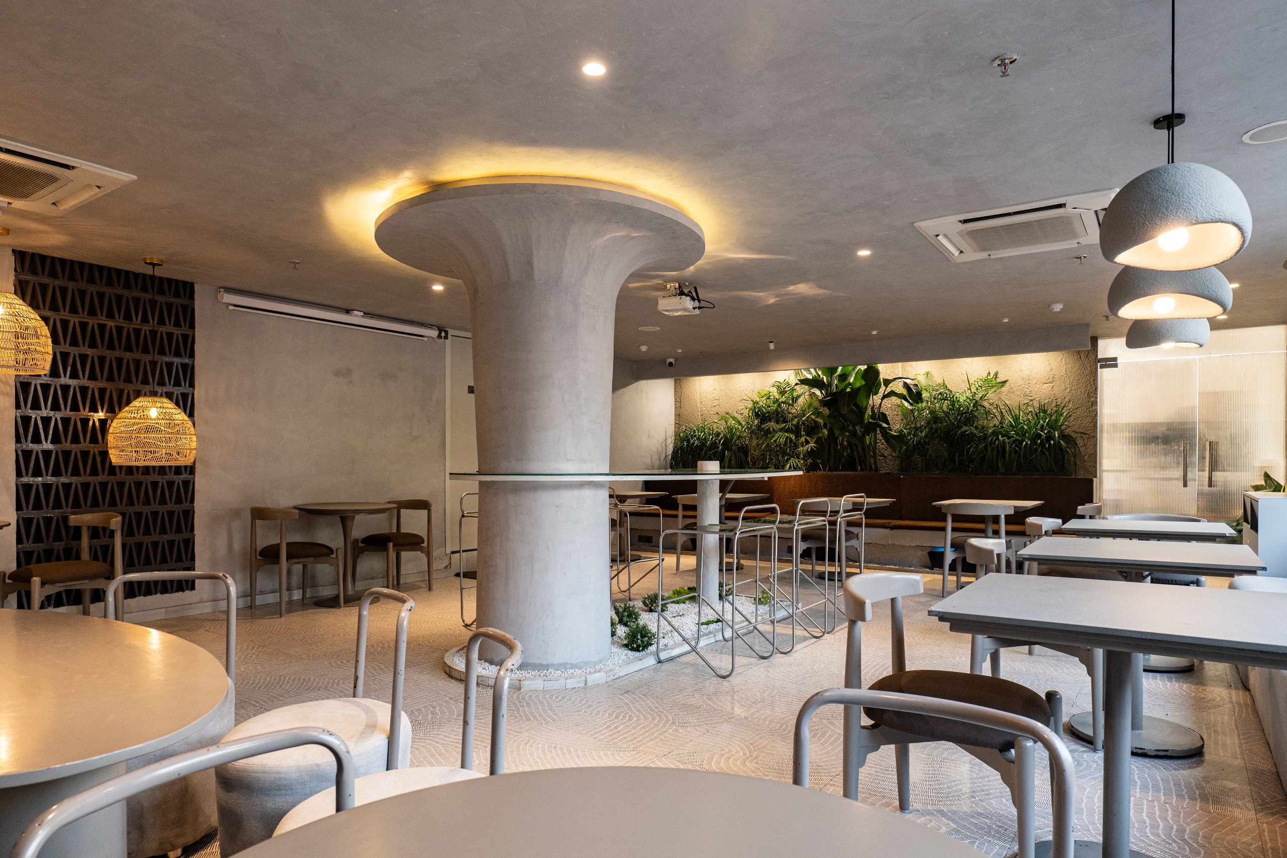 Tan Coffee – Janakpuri