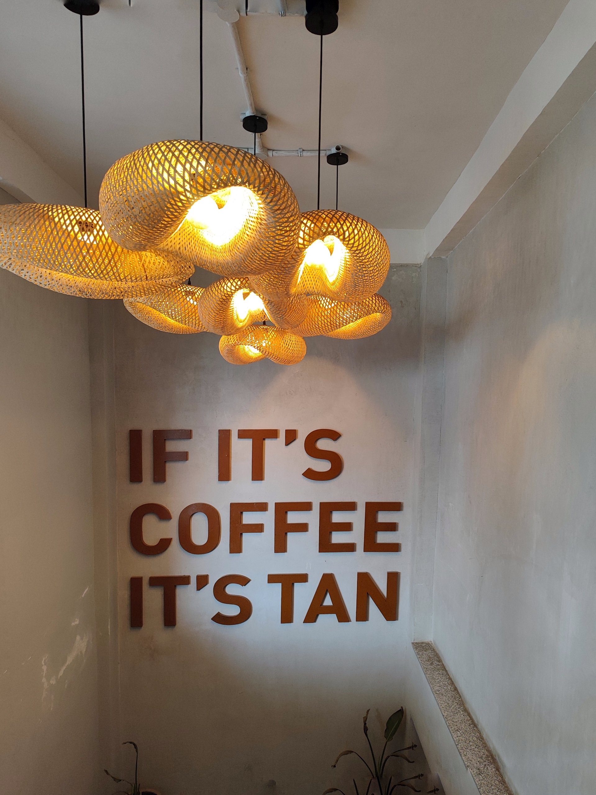 Tan Coffee – Jalandhar