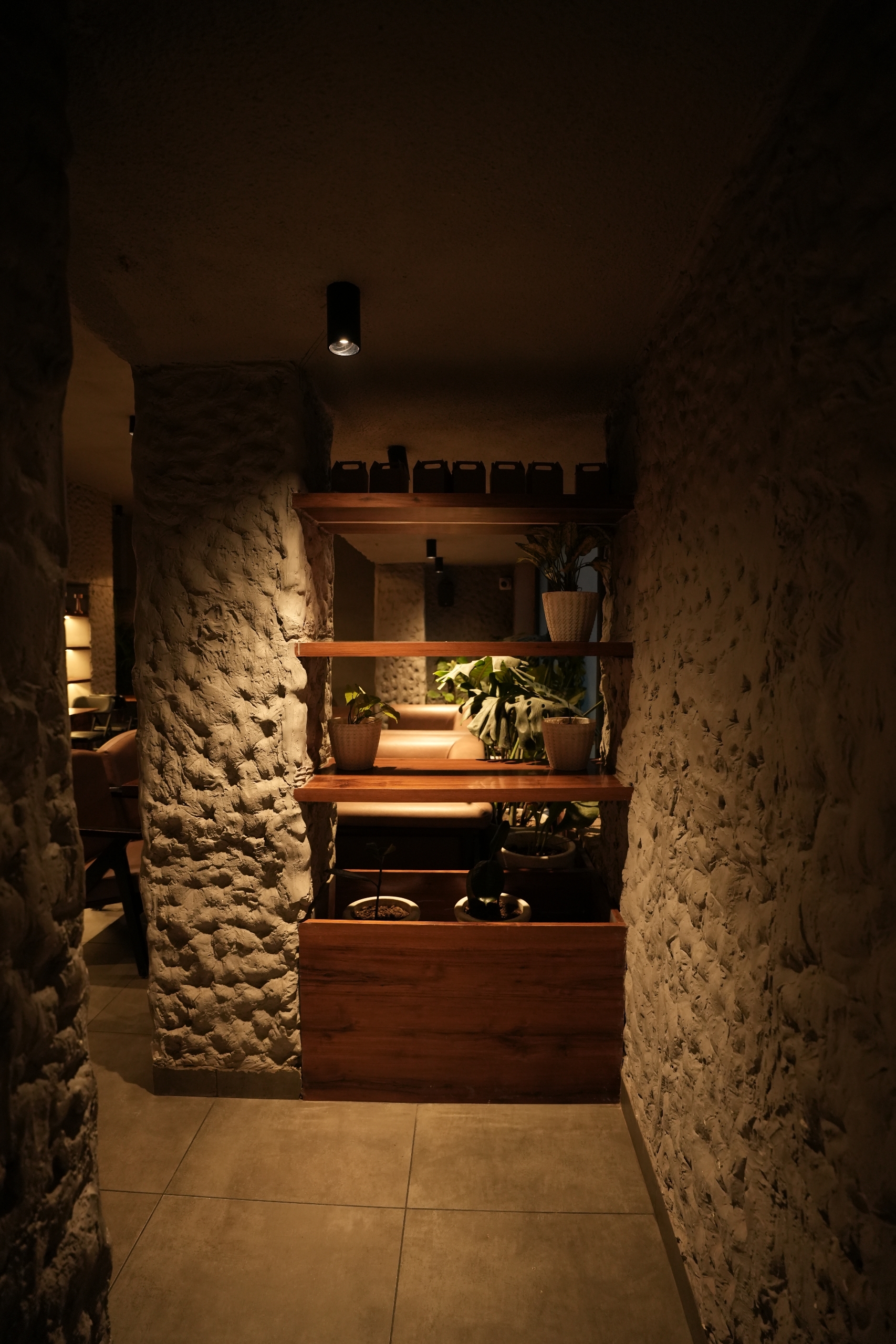 Tan Coffee – Patna