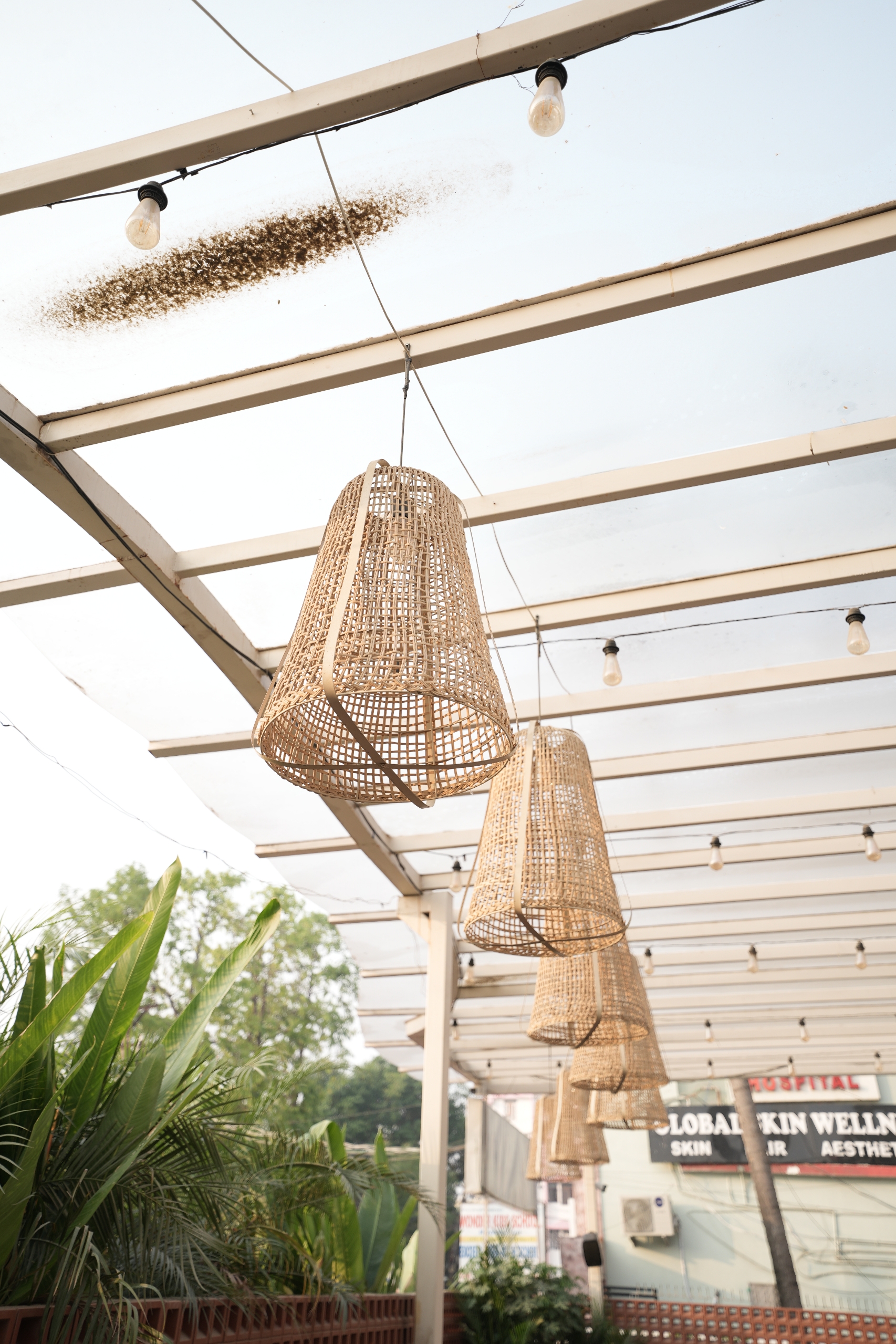 Tan Coffee – Patna