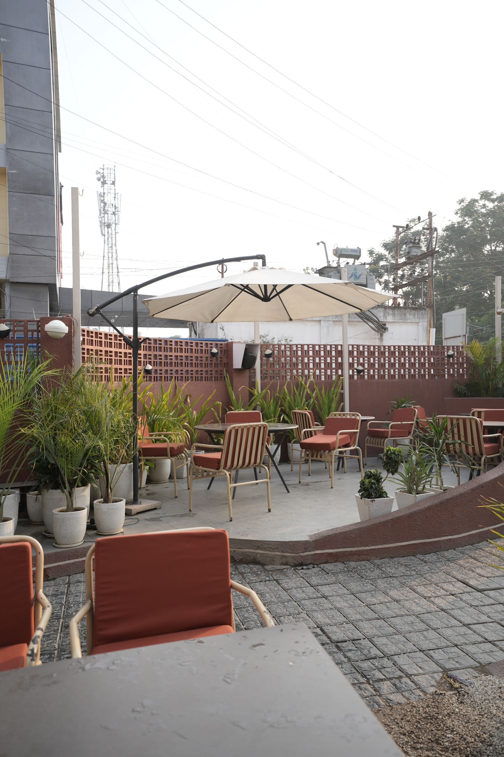 Tan Coffee – Patna