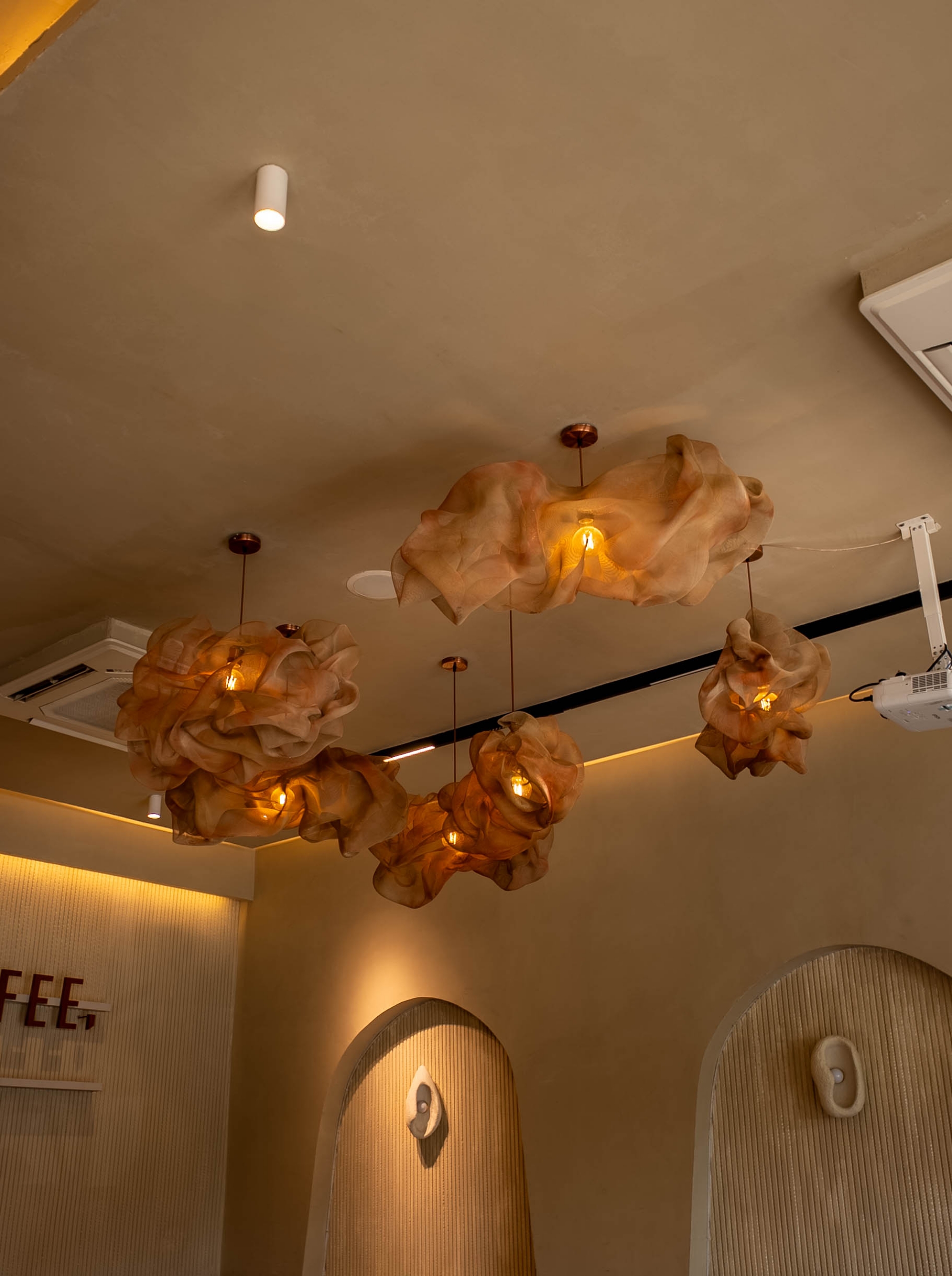 Tan Coffee – Preet Vihar
